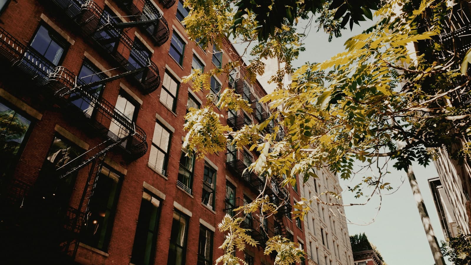 No Broker Fee Rooms for Rent on the Upper West Side
